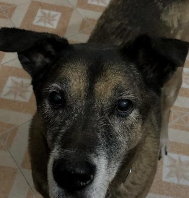 Micky