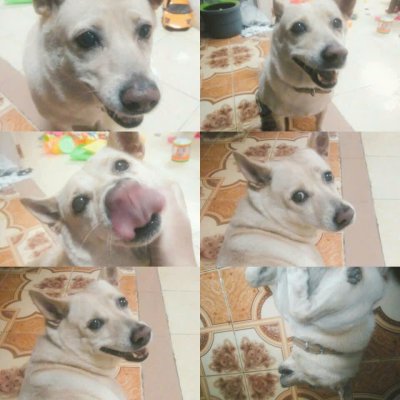 Lucky